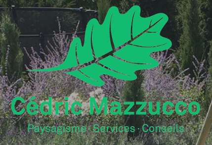 Mazzucco Cédric
