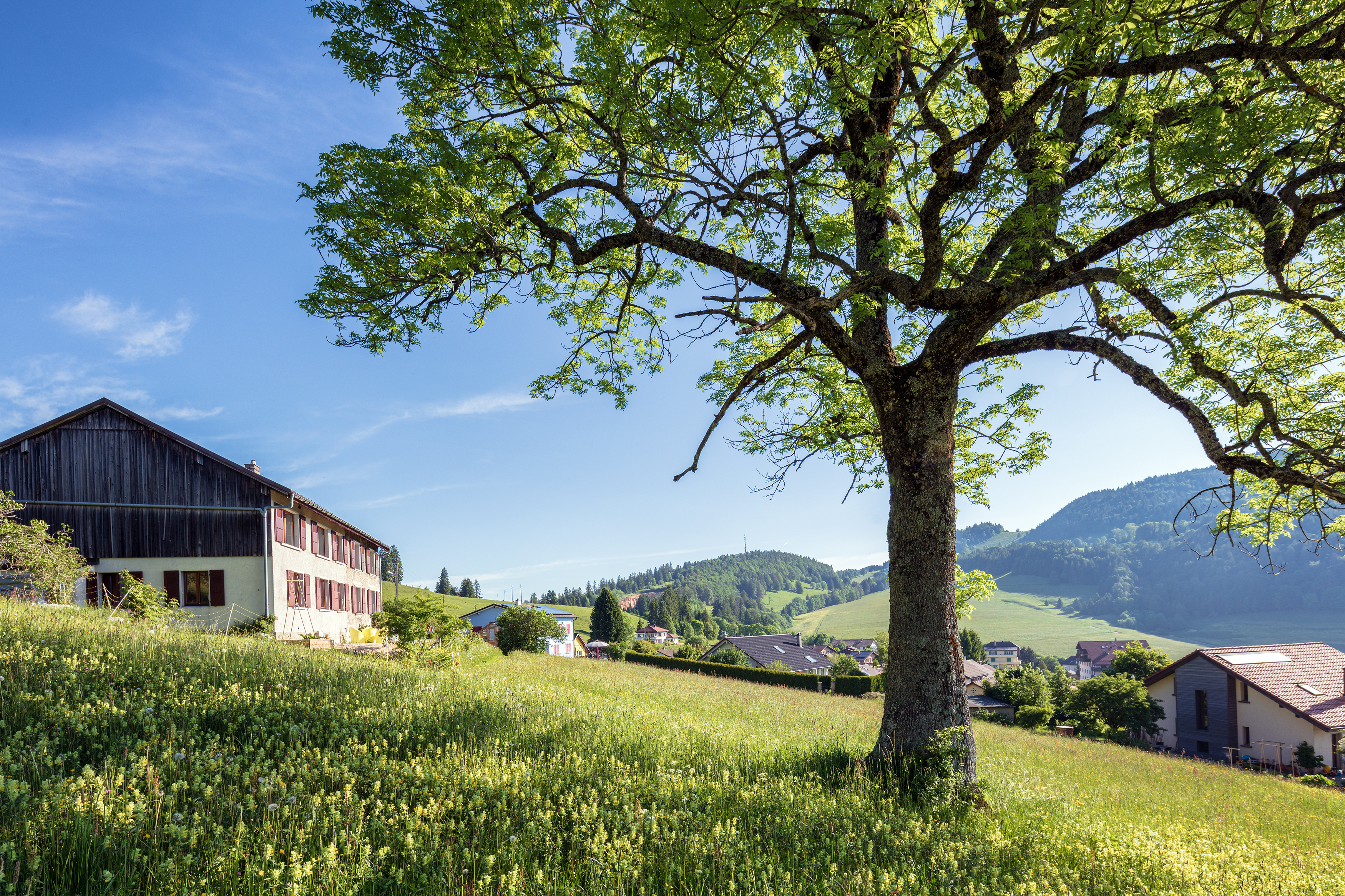 Bed & Breakfast Grangette Bellevue et Espace massage