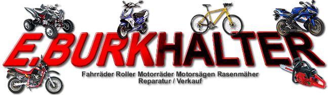 Burkhalter Erich