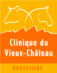 Clinique Vétérinaire du Vieux-Château Grands Animaux Sàrl (Grosstiere