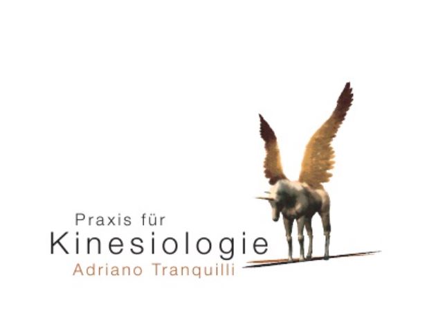 Praxis für Kinesiologie Adriano Tranquilli