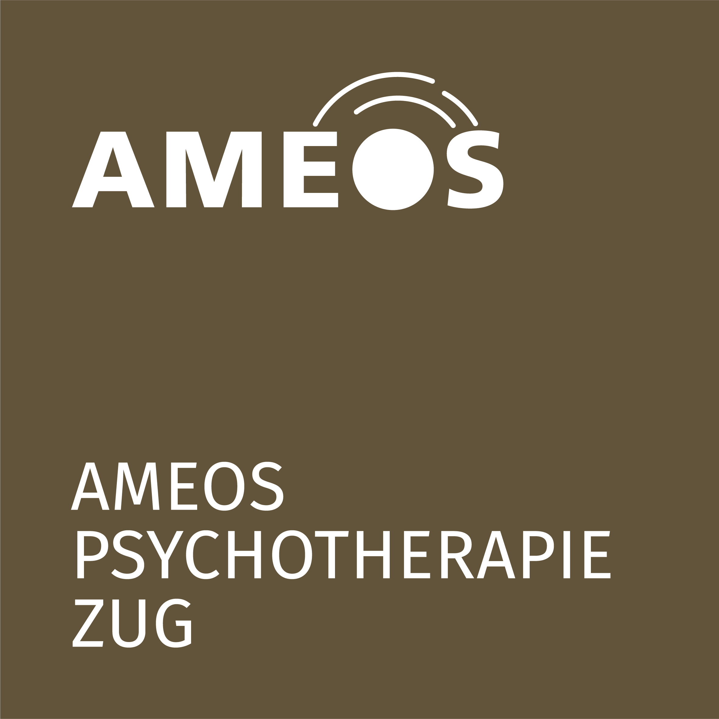 AMEOS Psychotherapie Zug