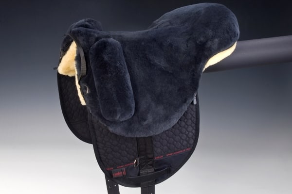 CAVALLINO
