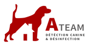 A-Team Désinfection