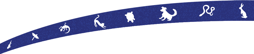 Kleintierpraxis Nidauer Hof AG