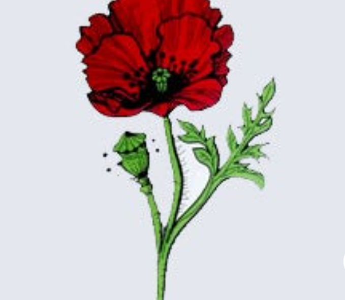 Pharmacie Floréal