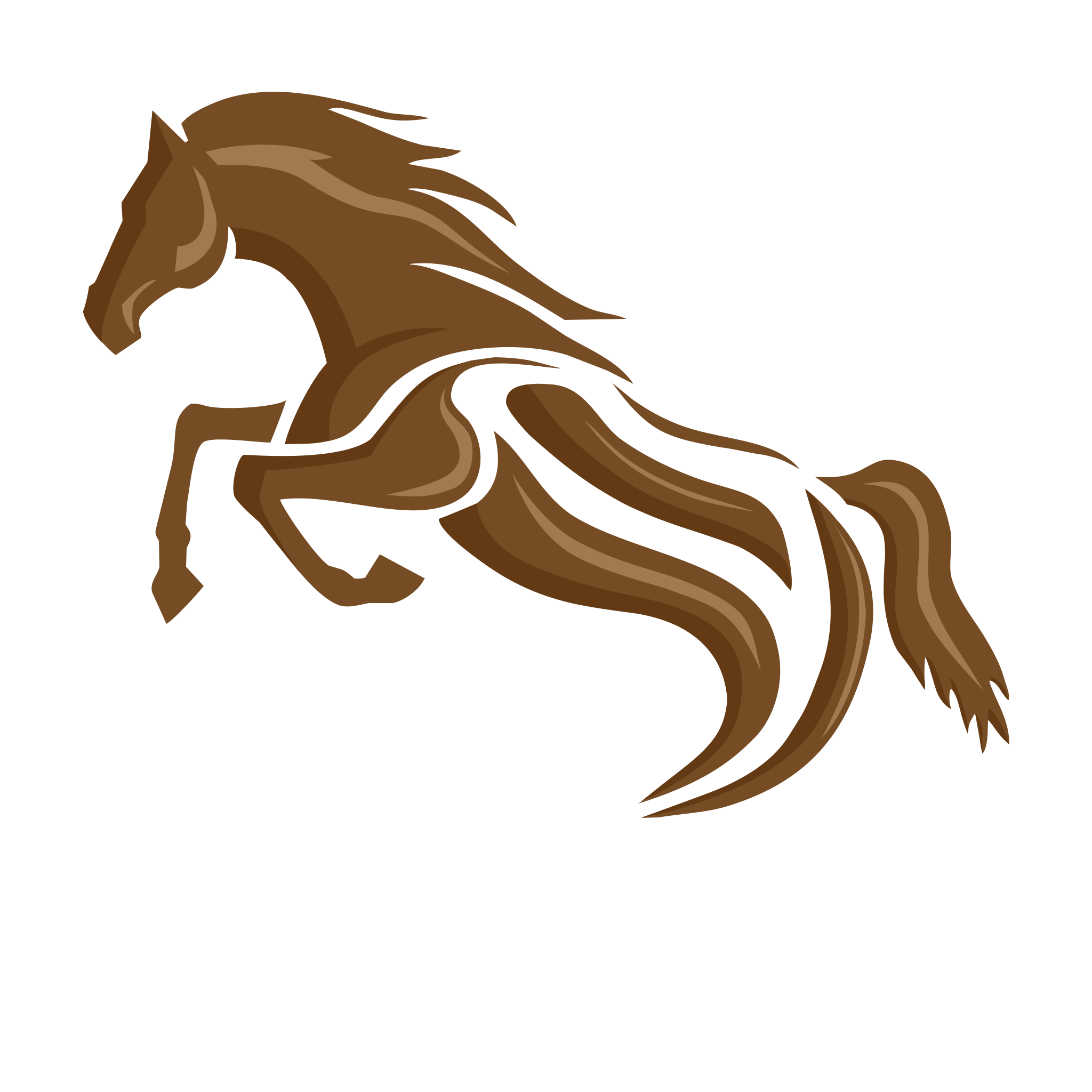 DLS Maréchalerie, Dimitri LE SOMMIER