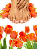 Sonja Art of Nail
