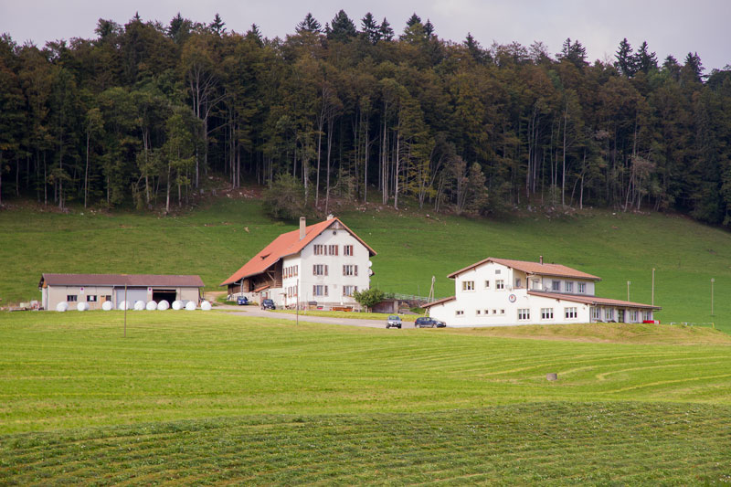 Restaurant des sportifs