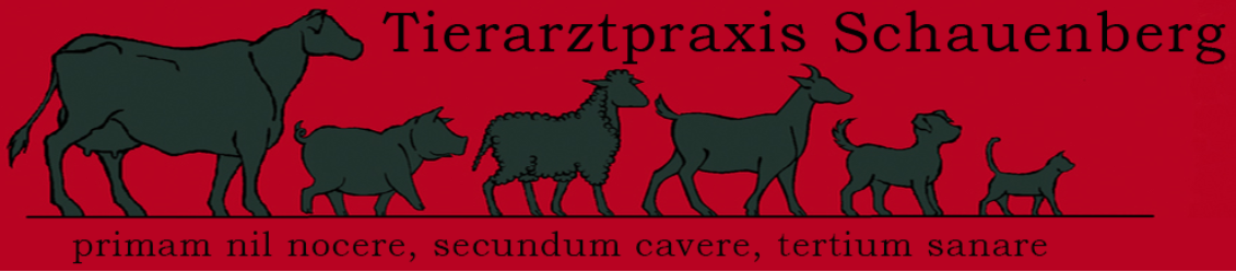 Tierarztpraxis Schauenberg