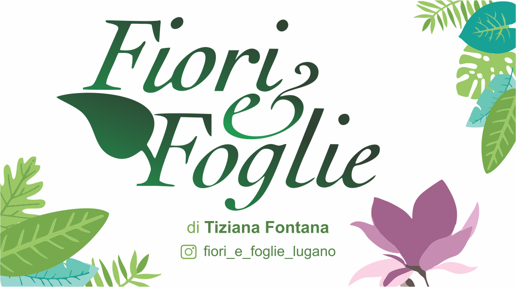 Fiori & Foglie di Tiziana Fontana