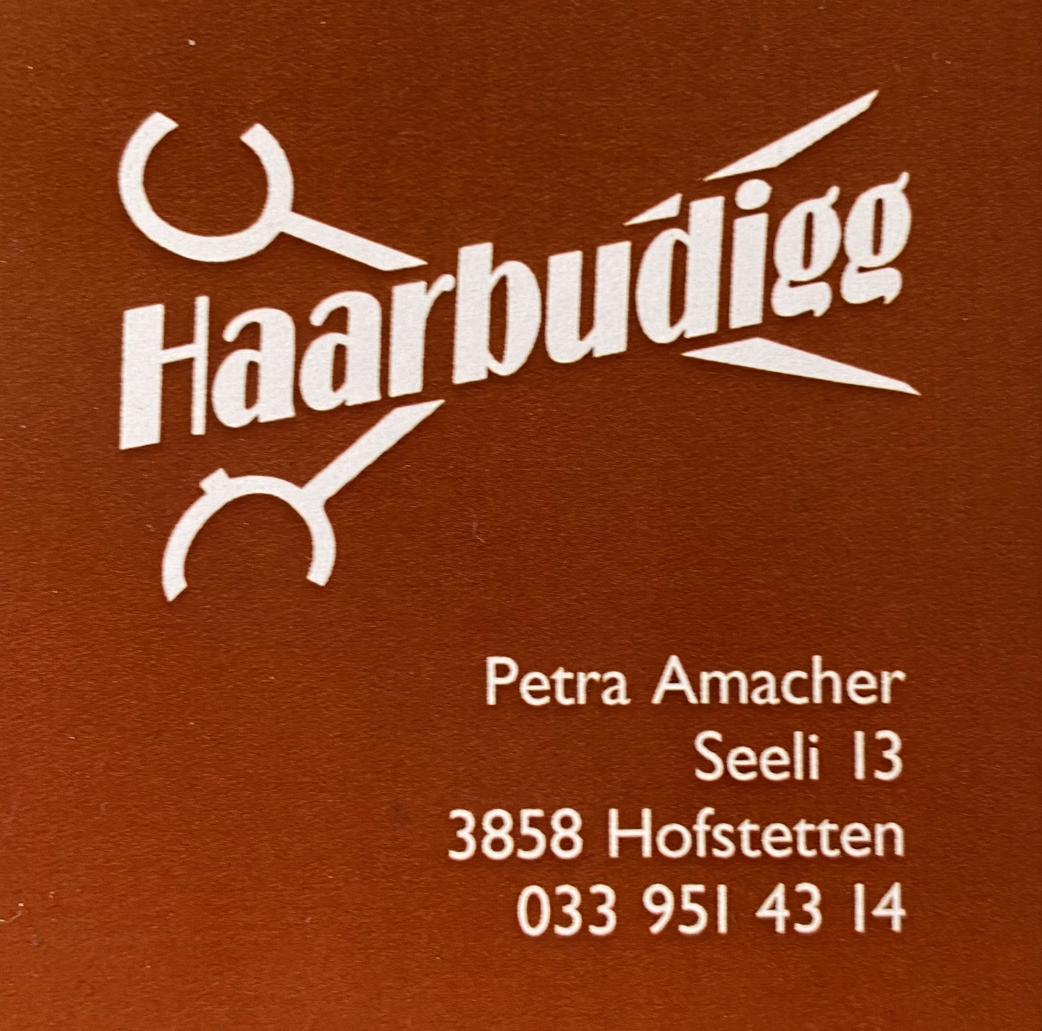 Haarbudigg