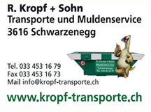 Kropf R. u. Sohn
