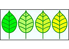 Leonelli & Fils