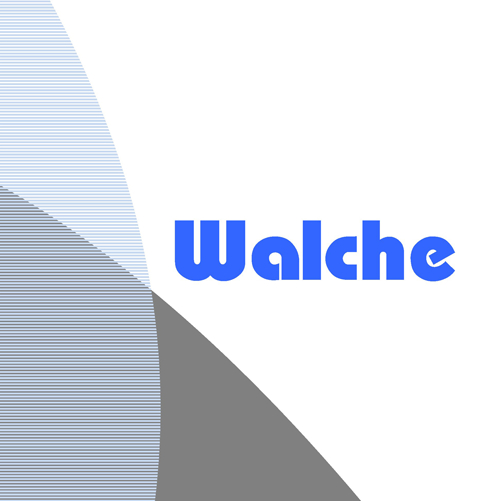 Walche Revisionsgesellschaft AG
