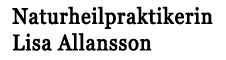 Naturheilpraxis Allansson