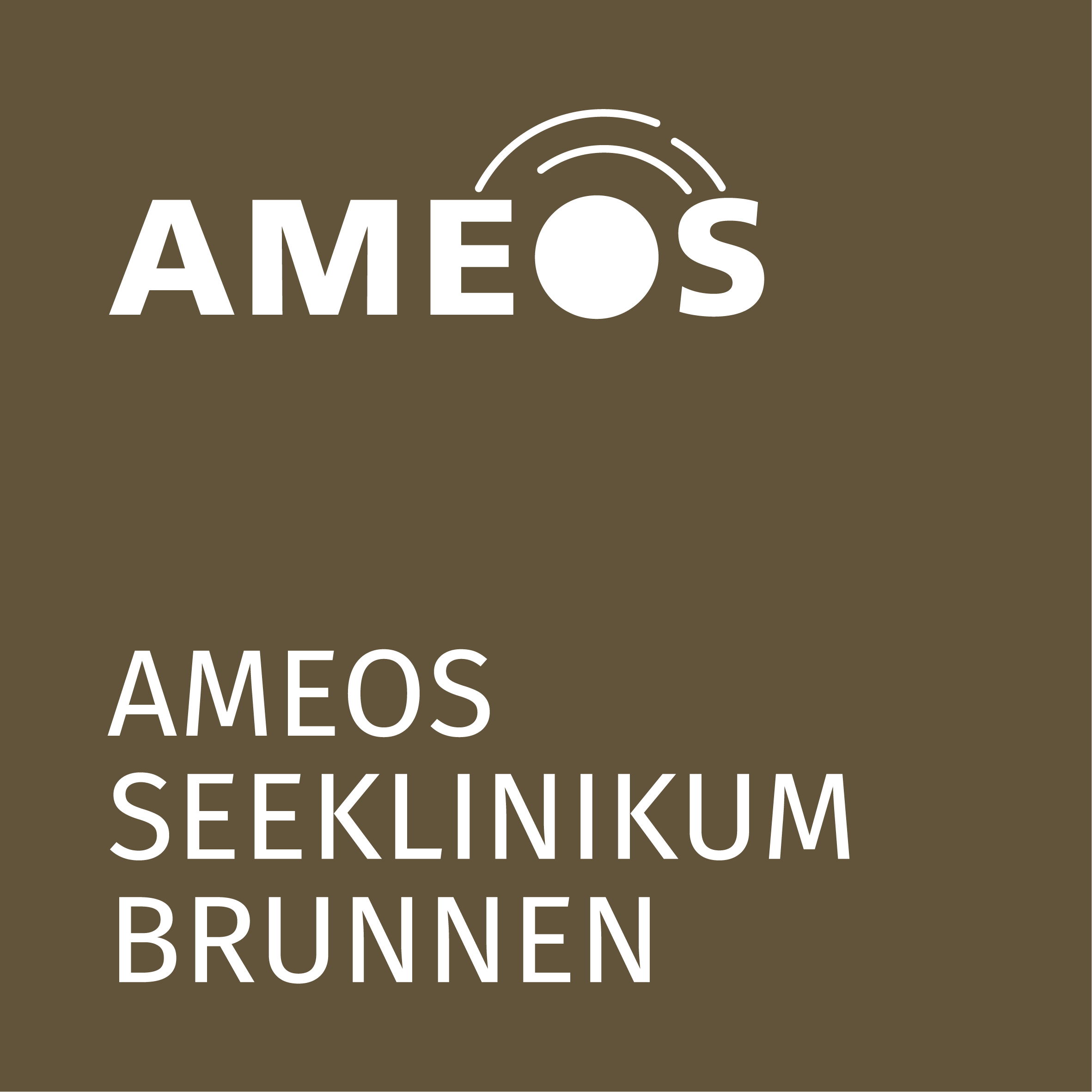 AMEOS Seeklinikum Brunnen