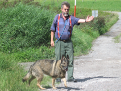 Riko Dogs GmbH