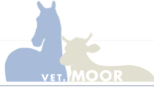 Tierarztpraxis Moor AG