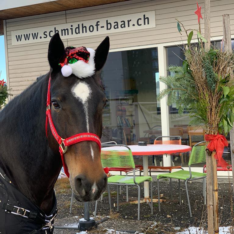 Andermatt Schmidhof AG