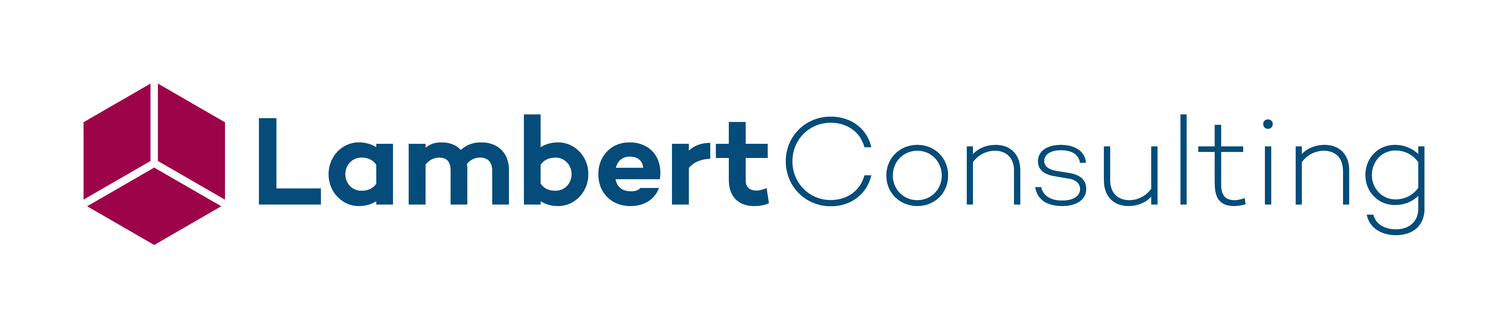 Lambert Consulting SA