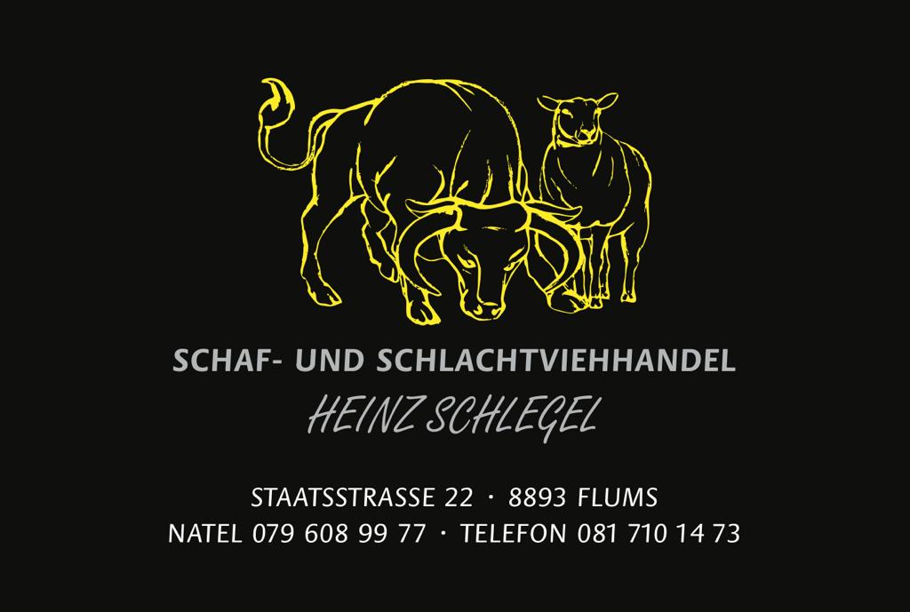 Schlegel Heinz