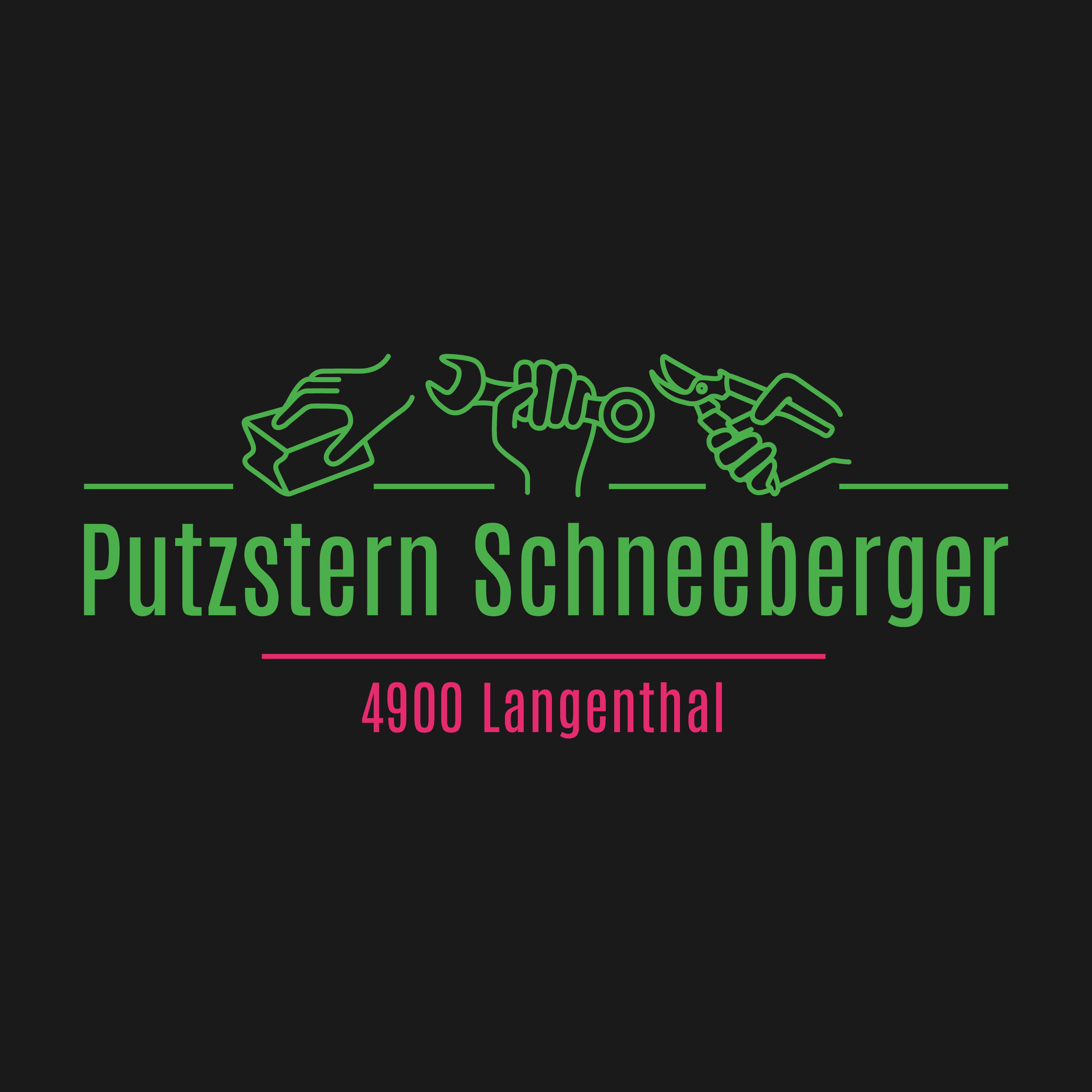 Putzstern Schneeberger KLG
