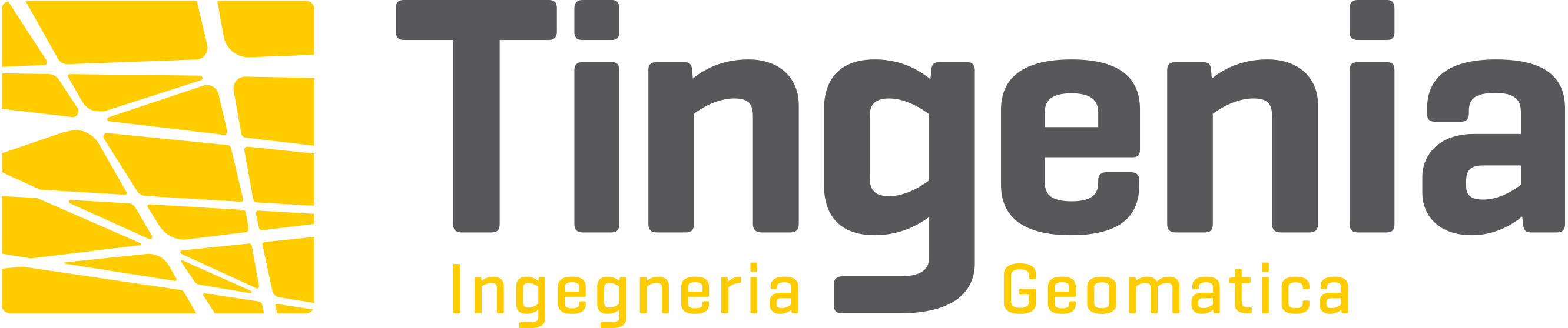 Tingenia ingegneria e geomatica SA