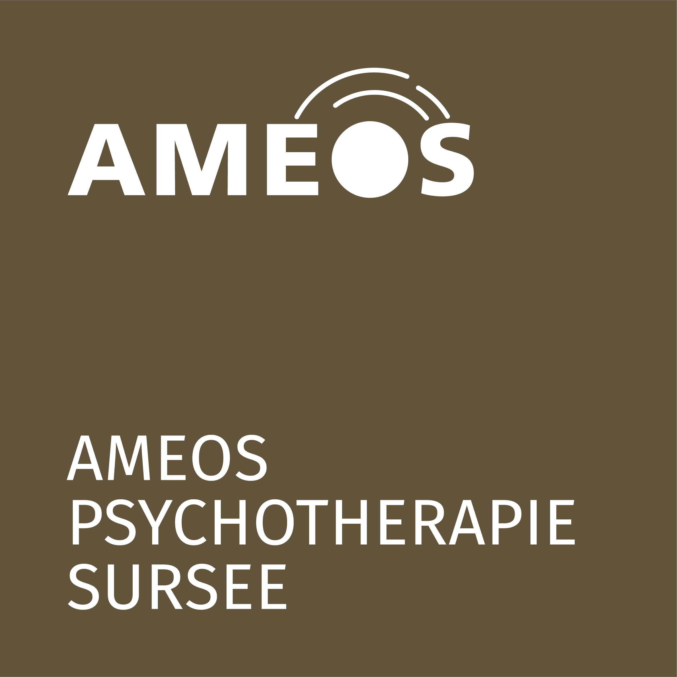 AMEOS Psychotherapie Sursee