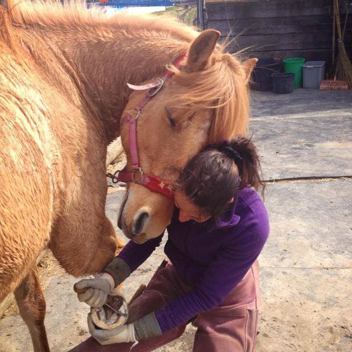 Diana Chavannes Dhanvantari Center & Horsehealings