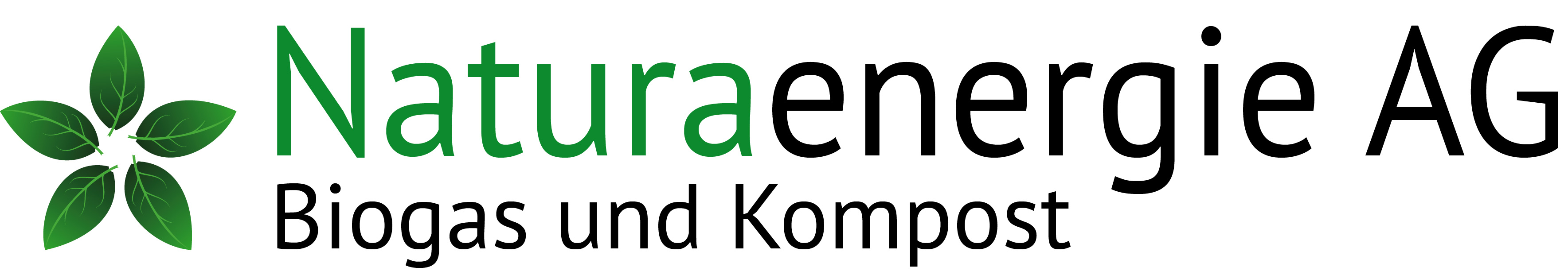 Naturaenergie AG