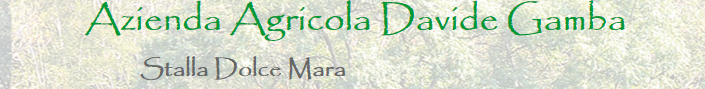 dolcemara sagl