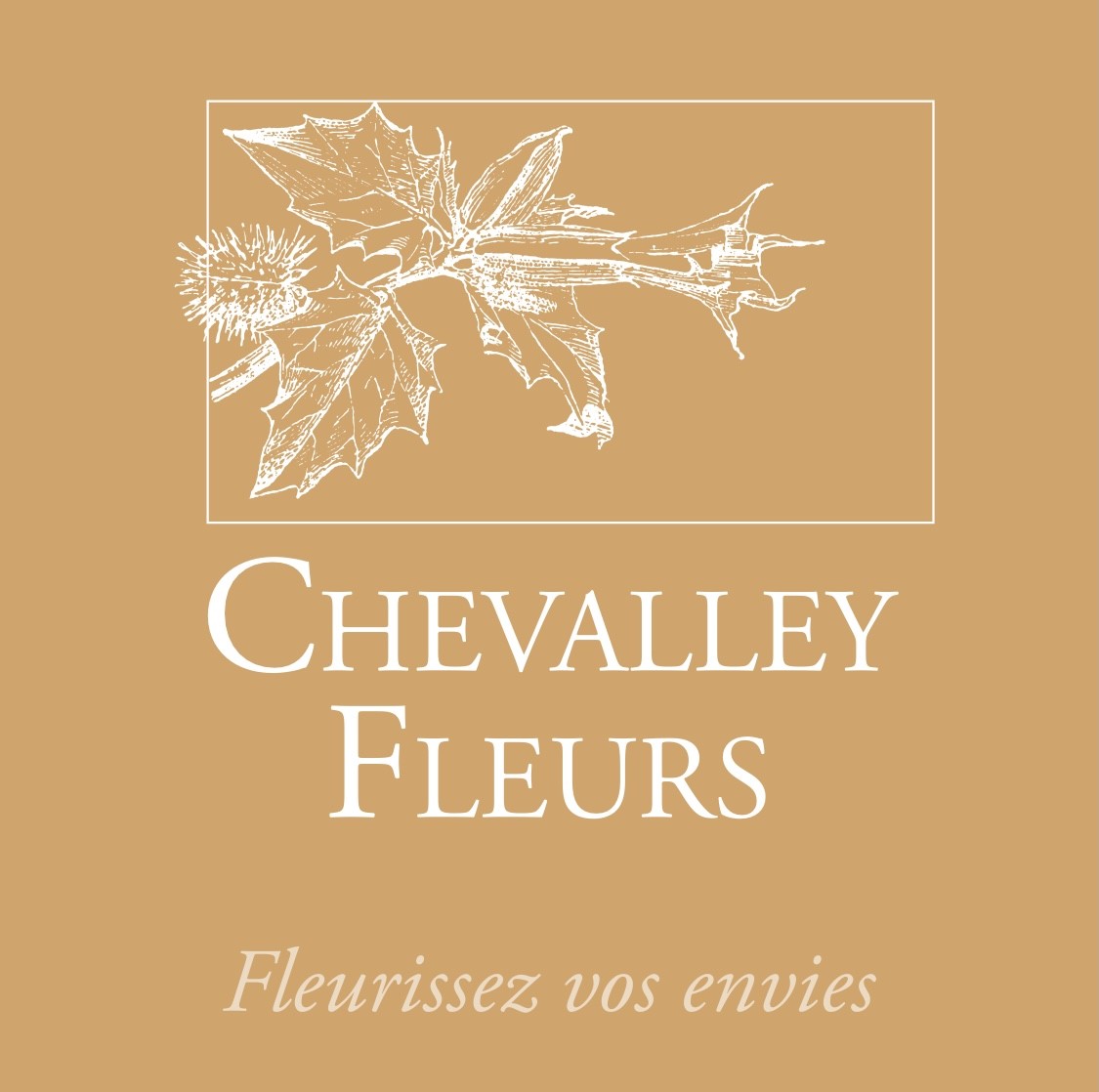 Chevalley Fleurs