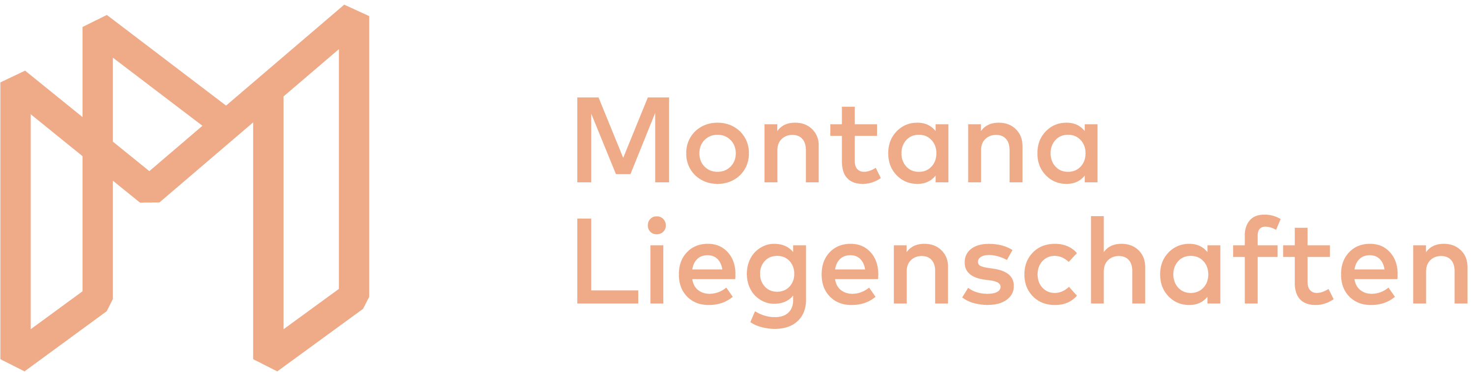 Montana AG Liegenschaften