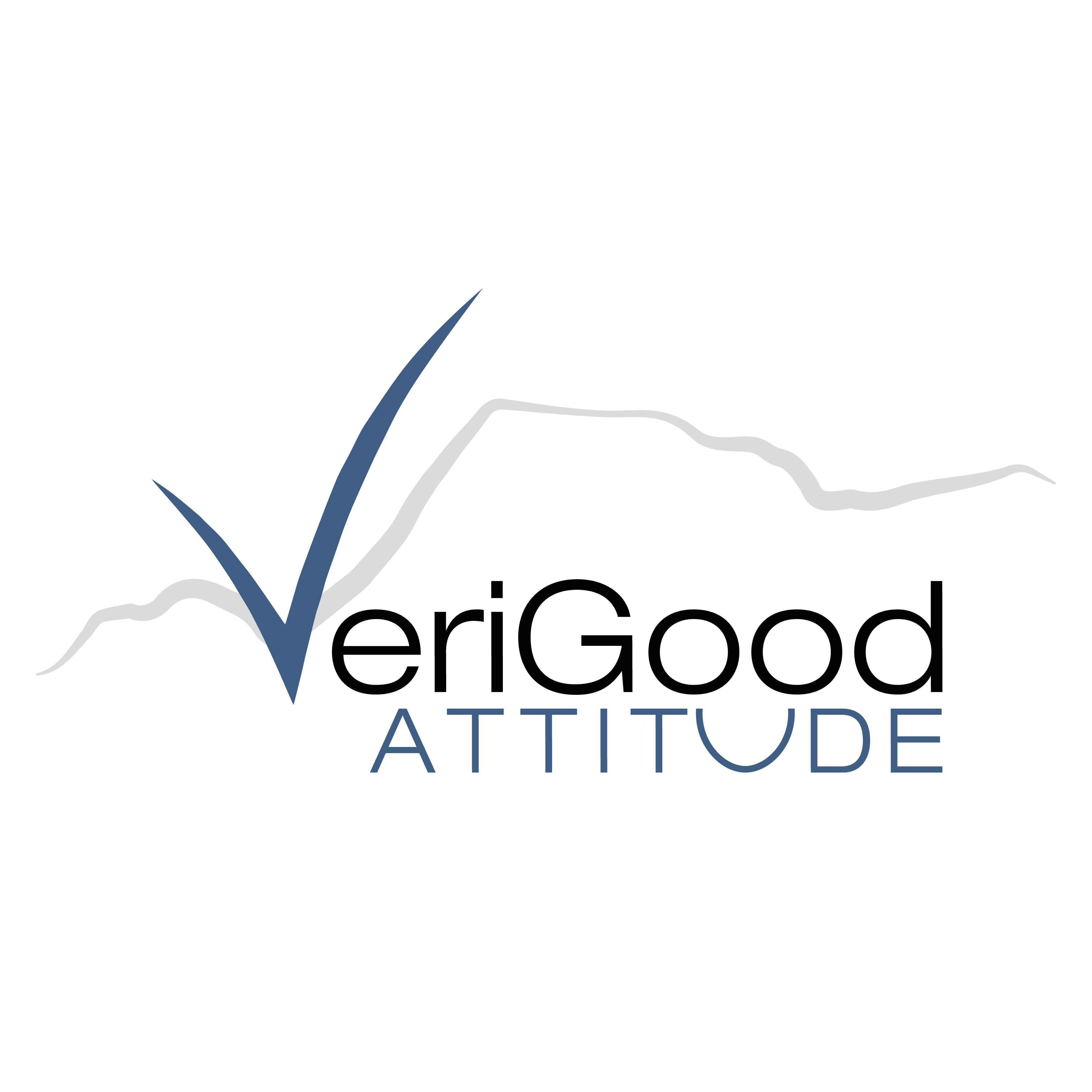 VeriGood Attitude