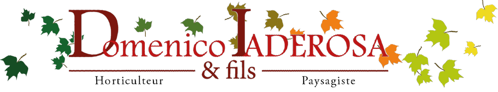Domenico Iaderosa & Fils