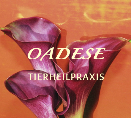 OADESE Tierheilpraxis
