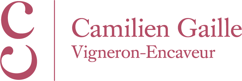 Gaille Camilien
