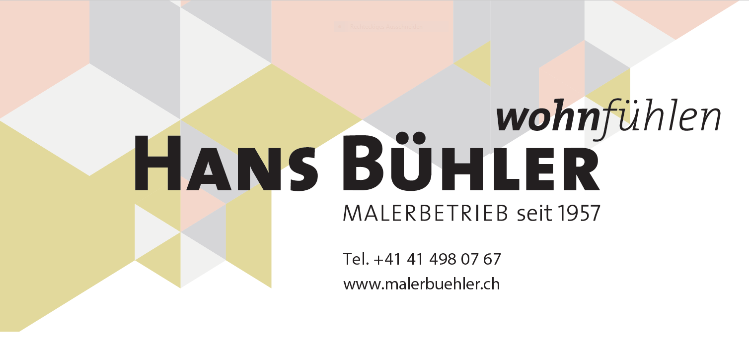 Hans Bühler Gmbh