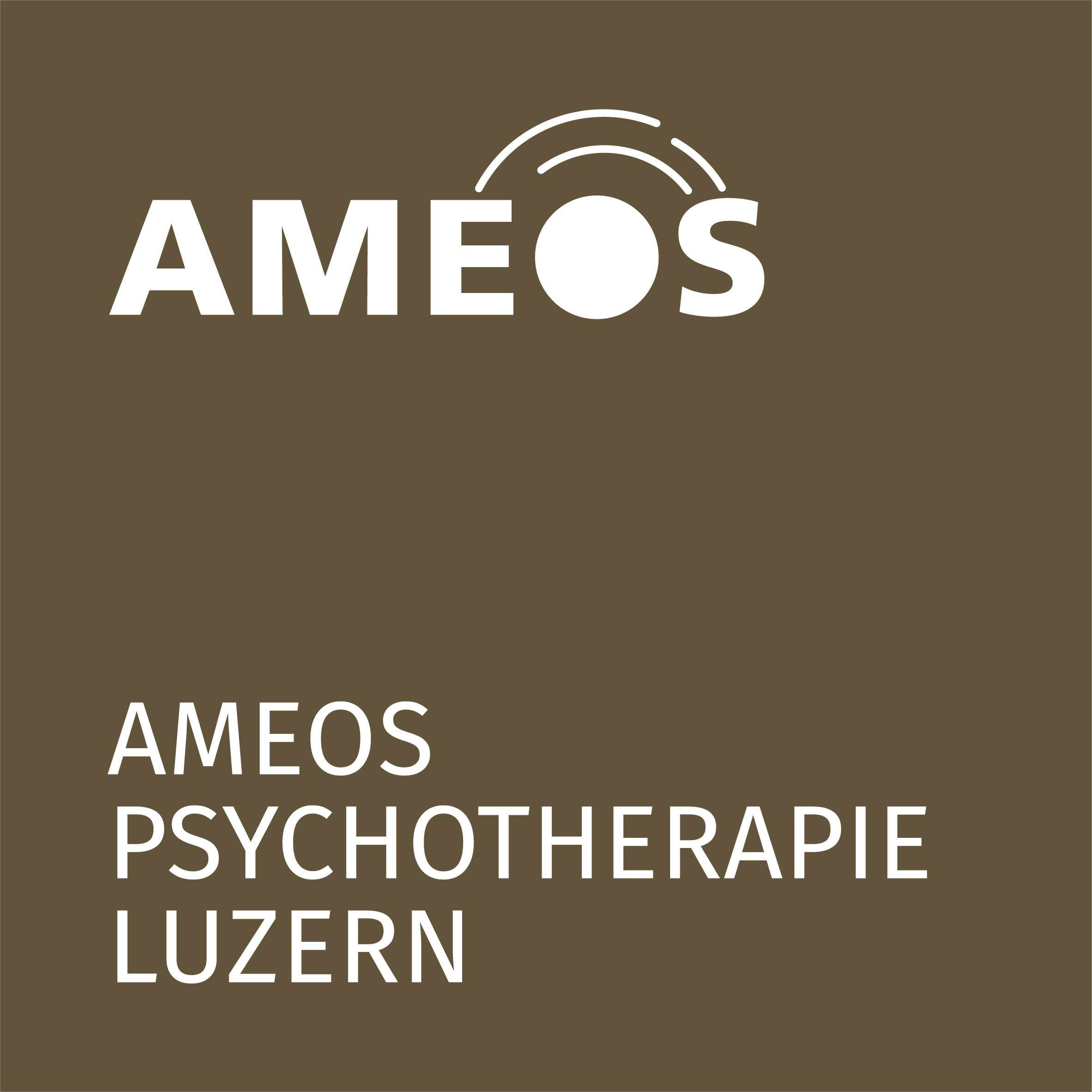 AMEOS Psychotherapie Luzern