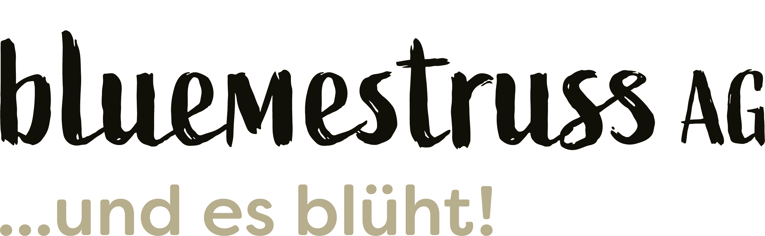 bluemestrussAG Wanninger