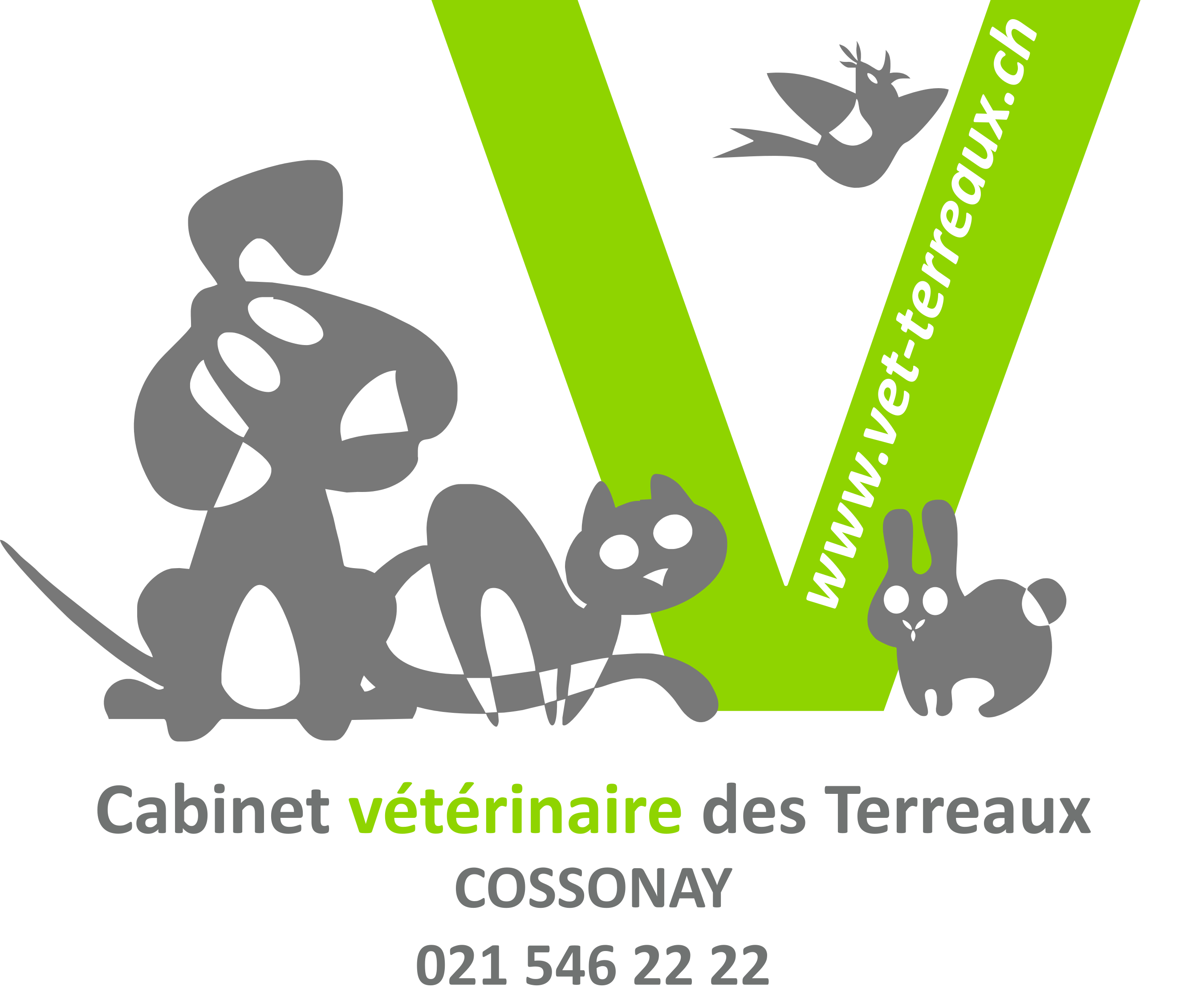 Cabinet vétérinaire des Terreaux