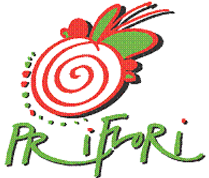 PriFlori-grünes Atelier