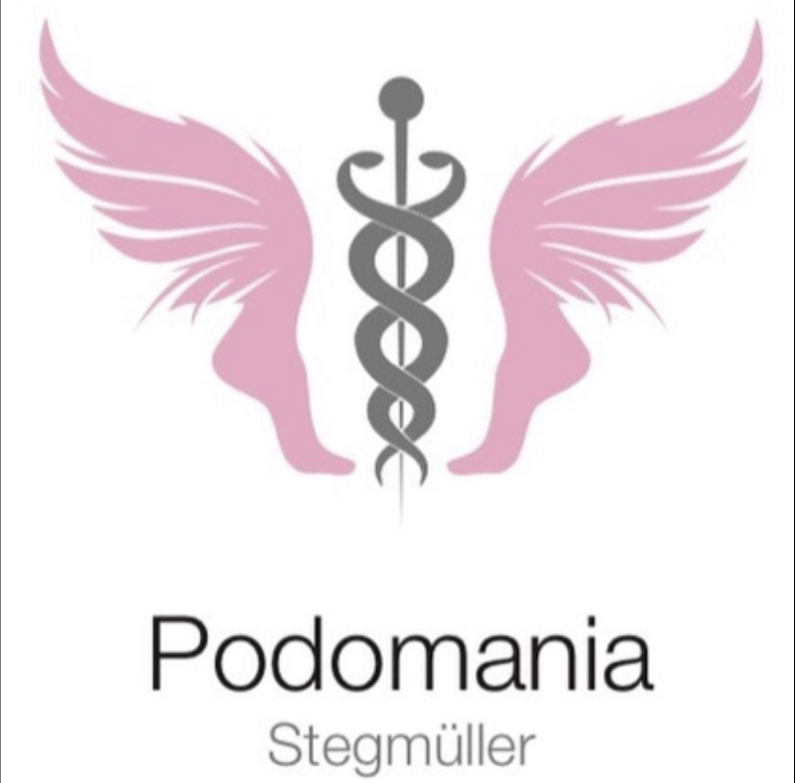 Stegmüller Serajna