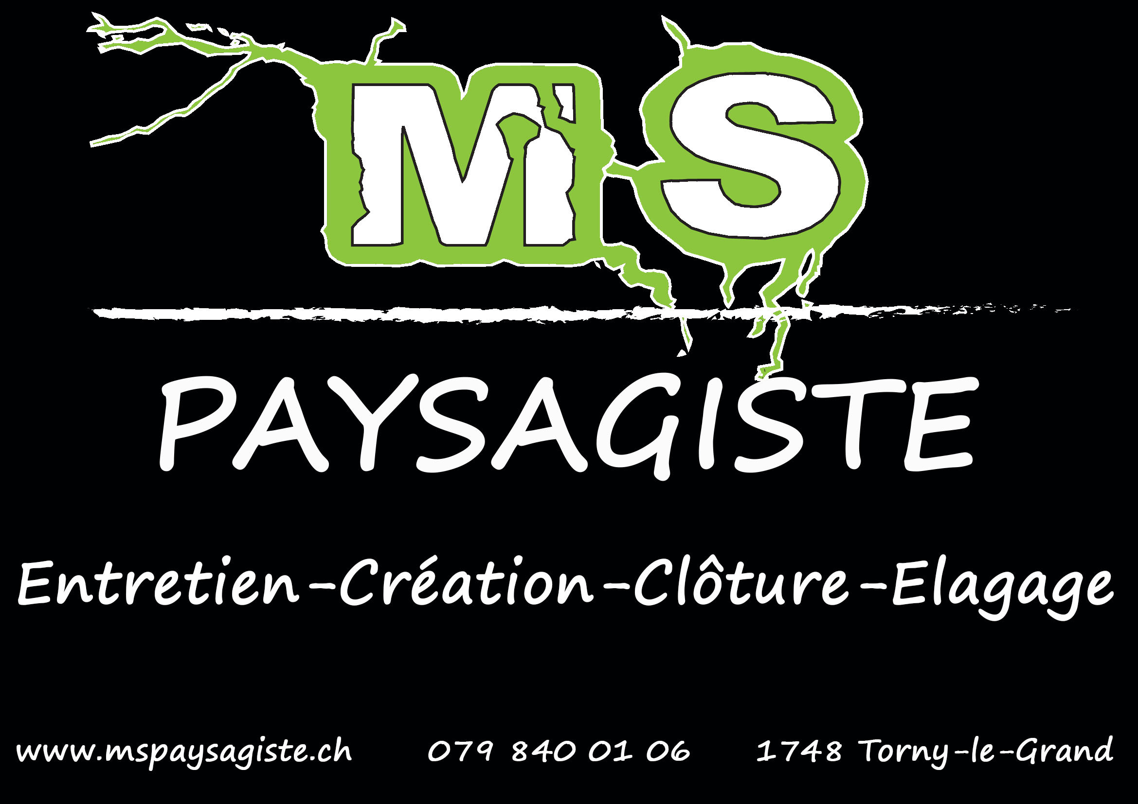 MS PAYSAGISTE Sàrl