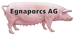 Egnaporcs AG