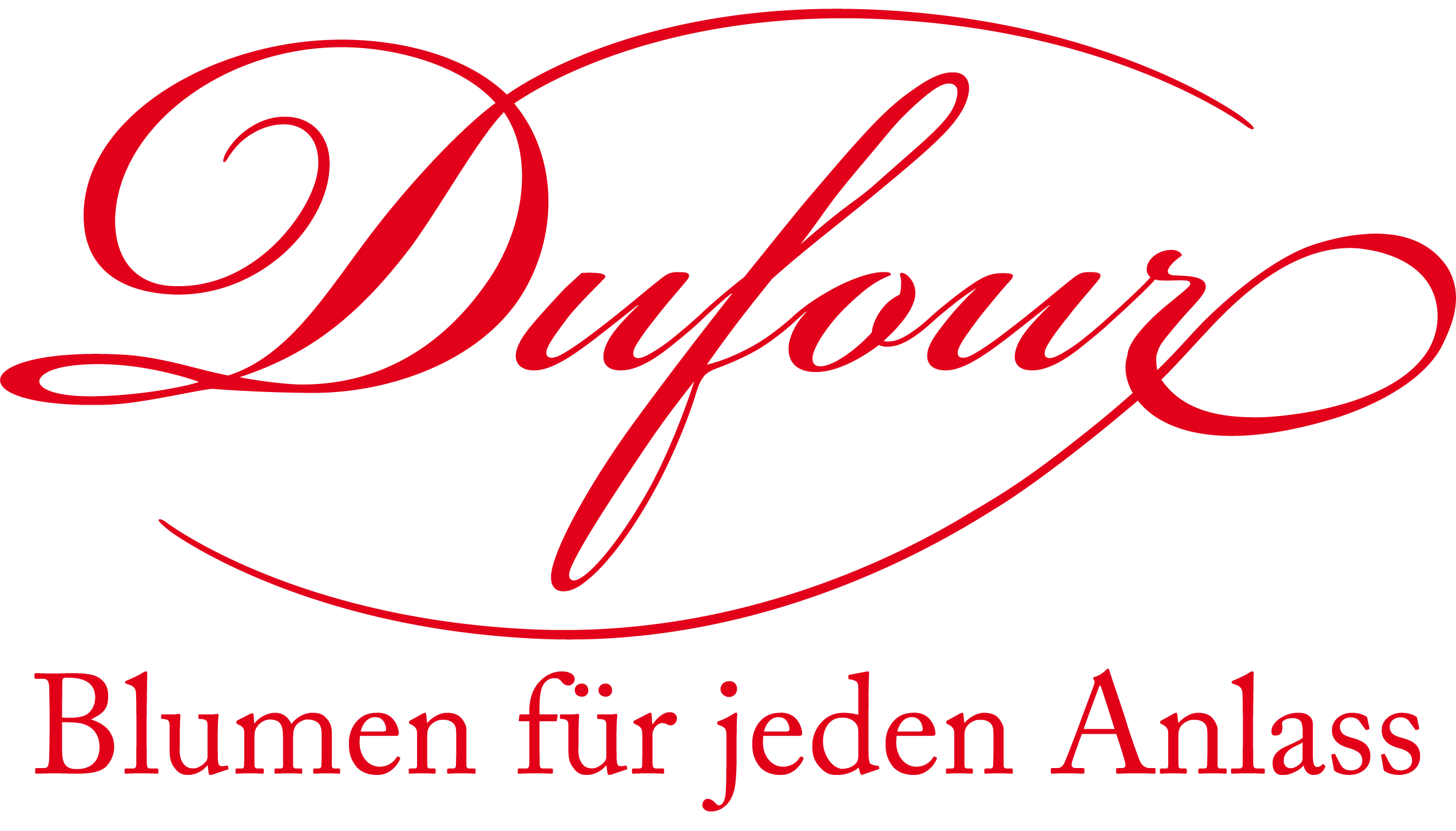 Blumen Dufour AG