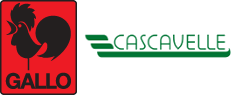 Disques VDE-GALLO Sàrl