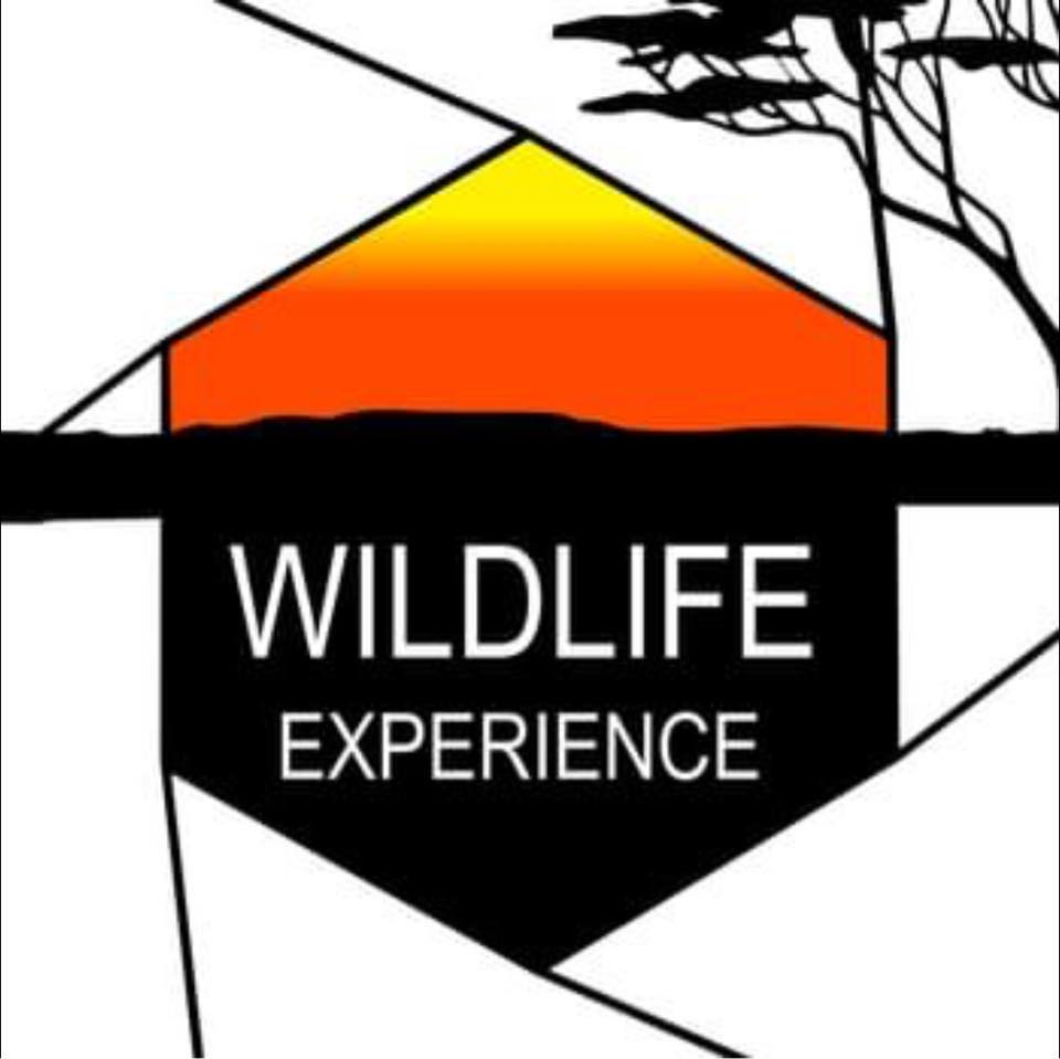 L'Œil Sauvage - Wildlife Experience