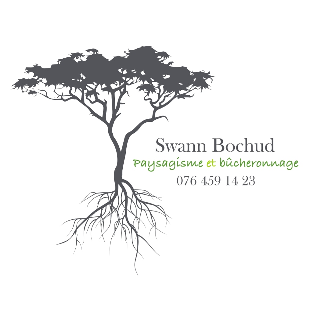 Bochud Swann